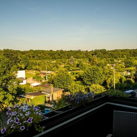 Doppelhaus- Villa Leipzig Schleussig , Moderner Altbau Apartment Dachetage Mit 2 Schlafzimmern Und Separatem Zusatzzimmer , Parkplatz - Balkon - Kamin - Eicheparkett - Arbeitsplatz Esterno foto