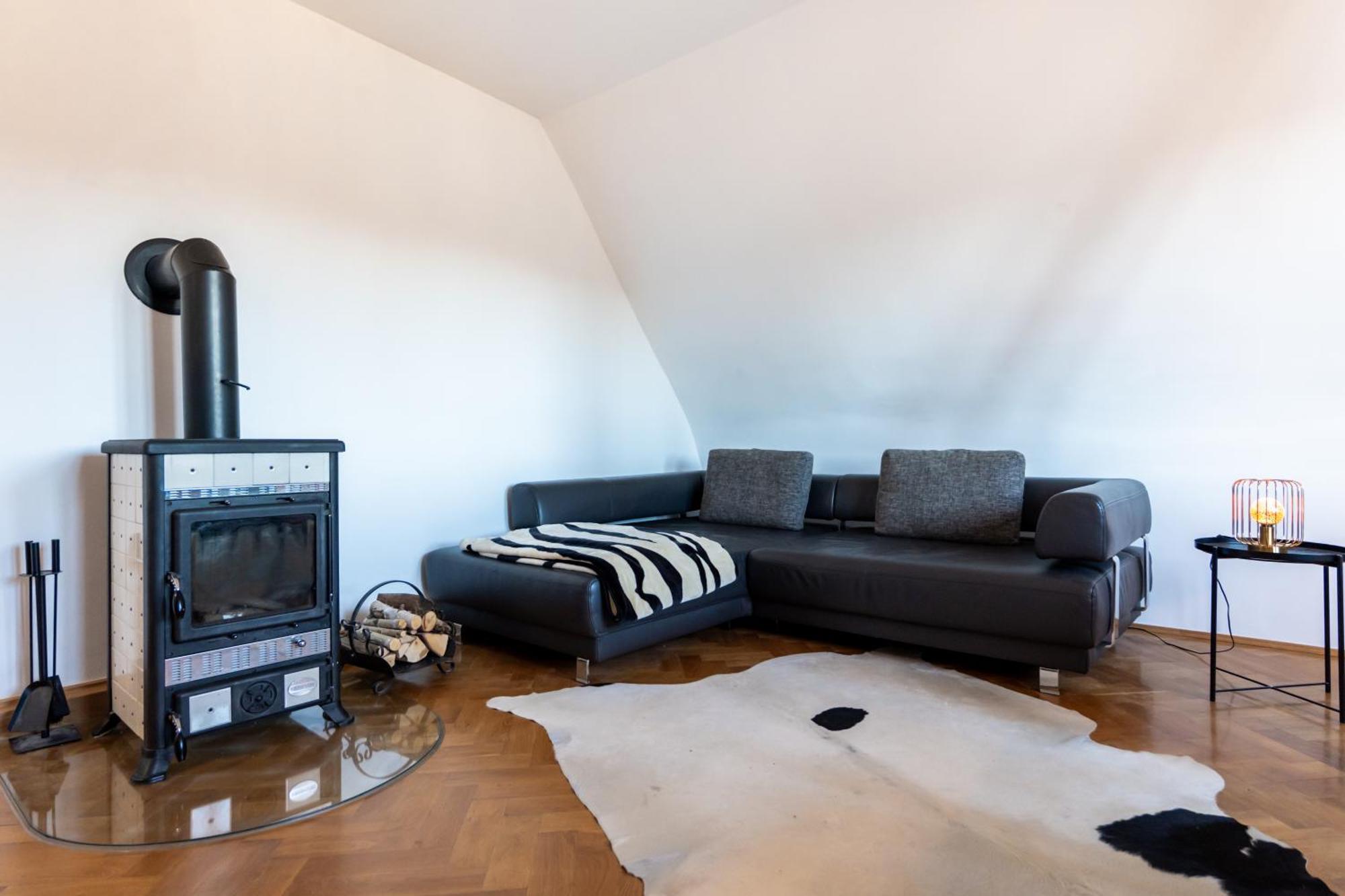 Doppelhaus- Villa Leipzig Schleussig , Moderner Altbau Apartment Dachetage Mit 2 Schlafzimmern Und Separatem Zusatzzimmer , Parkplatz - Balkon - Kamin - Eicheparkett - Arbeitsplatz Esterno foto